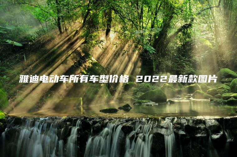 雅迪電動(dòng)車所有車型價(jià)格 2022最新款圖片