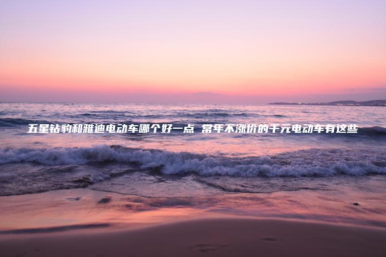 五星鉆豹和雅迪電動(dòng)車哪個(gè)好一點(diǎn) 常年不漲價(jià)的千元電動(dòng)車有這些