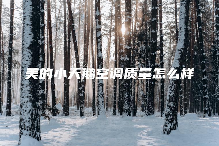 美的小天鵝空調質量怎么樣