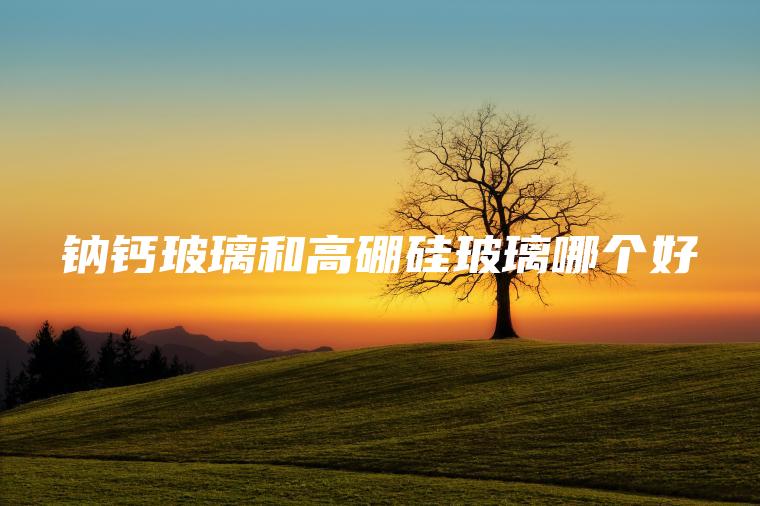 鈉鈣玻璃和高硼硅玻璃哪個好