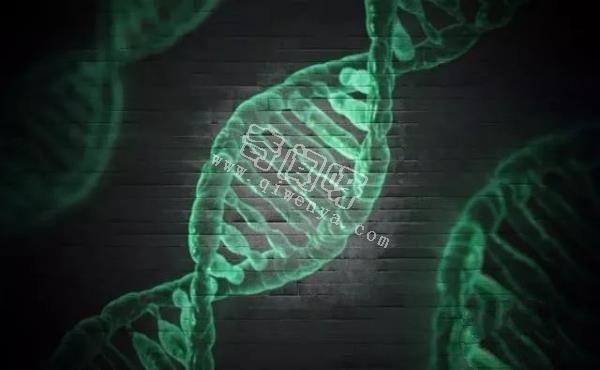 科學(xué)家發(fā)現(xiàn)人類DNA存在修改痕跡！其中或許隱藏了人類起源！