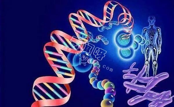 科學(xué)家發(fā)現(xiàn)人類DNA存在修改痕跡！其中或許隱藏了人類起源！