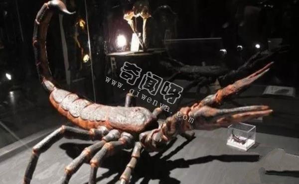 盤點地球史上十大巨型怪物，如果沒滅絕世界將因此而改變！