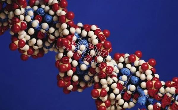 科學(xué)家發(fā)現(xiàn)人類DNA存在修改痕跡！其中或許隱藏了人類起源！