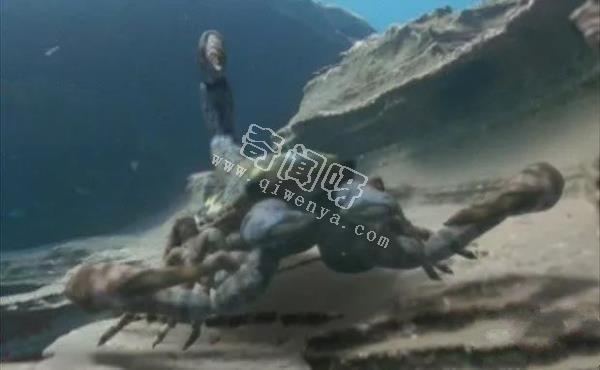 盤點地球史上十大巨型怪物，如果沒滅絕世界將因此而改變！