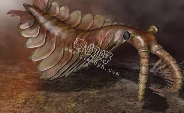 盤點地球史上十大巨型怪物，如果沒滅絕世界將因此而改變！