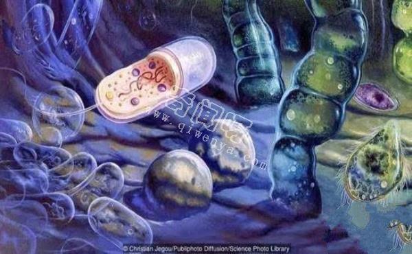 地球生物全部滅絕了，億萬年后還會再次產(chǎn)生生命嗎？