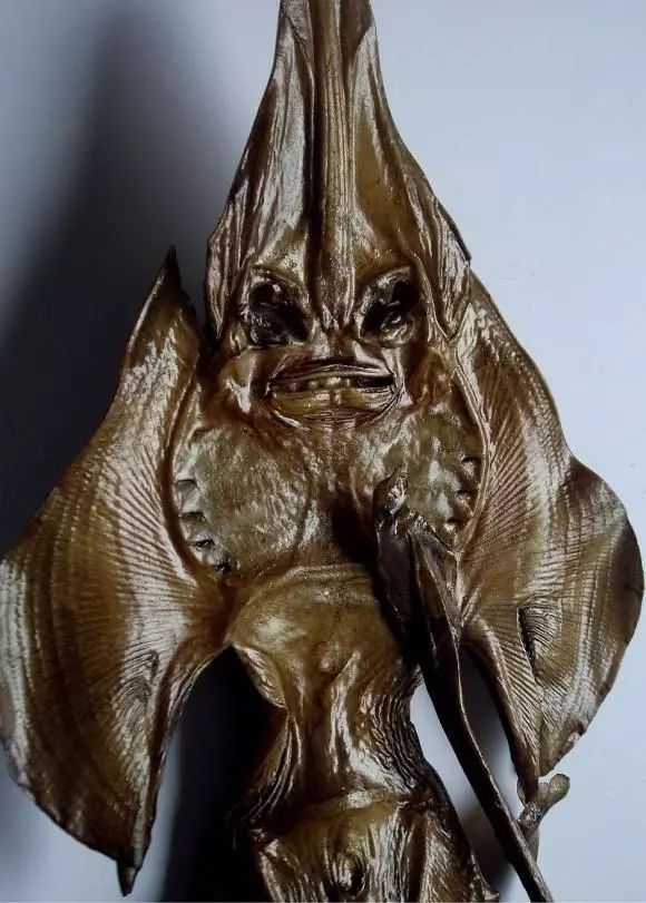 8個真實存在的神話中的生物標本，水底情深異形“精靈魚”