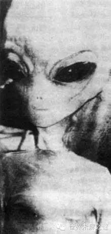 外星人照片是真的？你真相信外星人存在嗎？