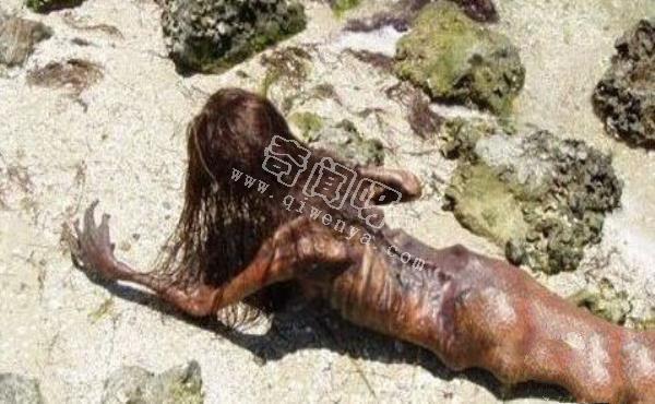 美人魚是史前地球人類用基因改造的?