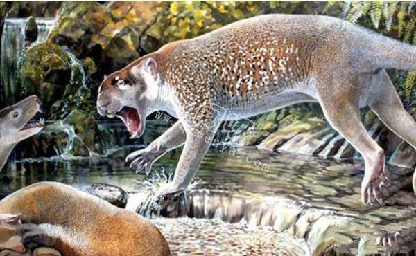 世界上最罕見的十大新物種:獅子魚可承受700公斤壓力