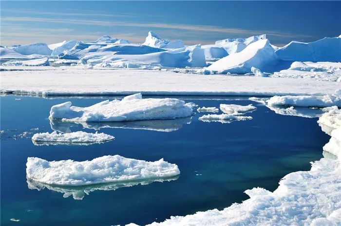 鉆穿南極冰棚深海發現活石,未知生物曝光科學家震驚