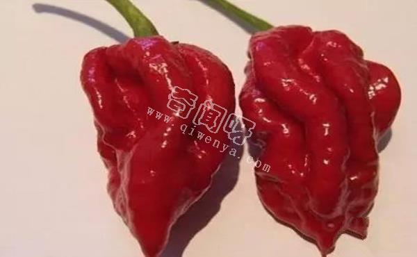 娜迦毒蛇，不是蛇而是世界上最辣的辣椒 被用到軍事領域