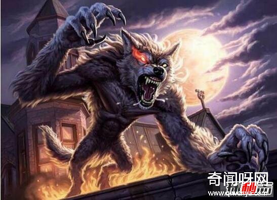 動(dòng)物未解之謎