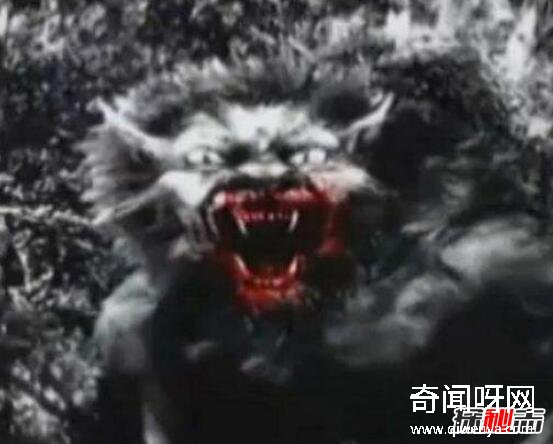 動(dòng)物未解之謎