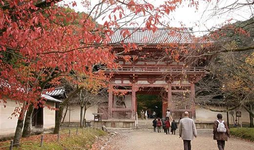 上太空拜神?日本將發(fā)射“宇宙寺廟”
