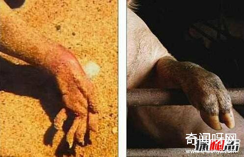 動物未解之謎