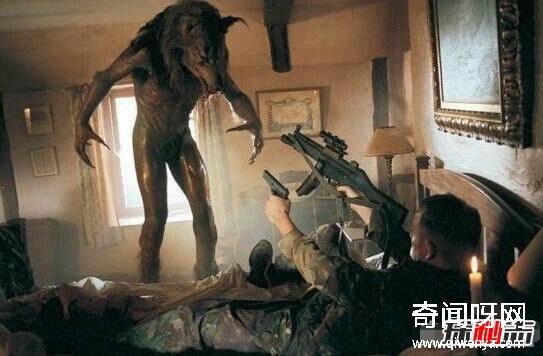 動(dòng)物未解之謎