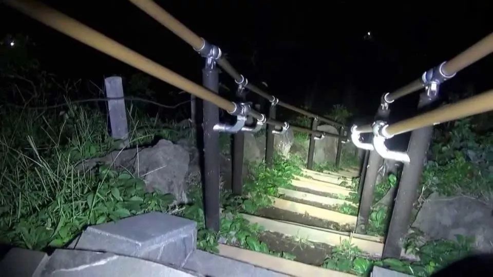 東京最猛鬧鬼景點：翠綠公園下埋著“二戰實驗品”百余具人骨