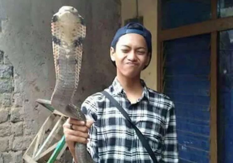 14歲少年被自己眼鏡王蛇咬到拍照炫耀，12小時(shí)后慘死