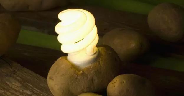 科學(xué)家發(fā)現(xiàn)馬鈴薯能發(fā)電！ 一顆就能照亮你家40天