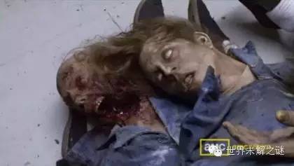 揭秘行尸走肉集中營 各種行尸驚爆眼球！