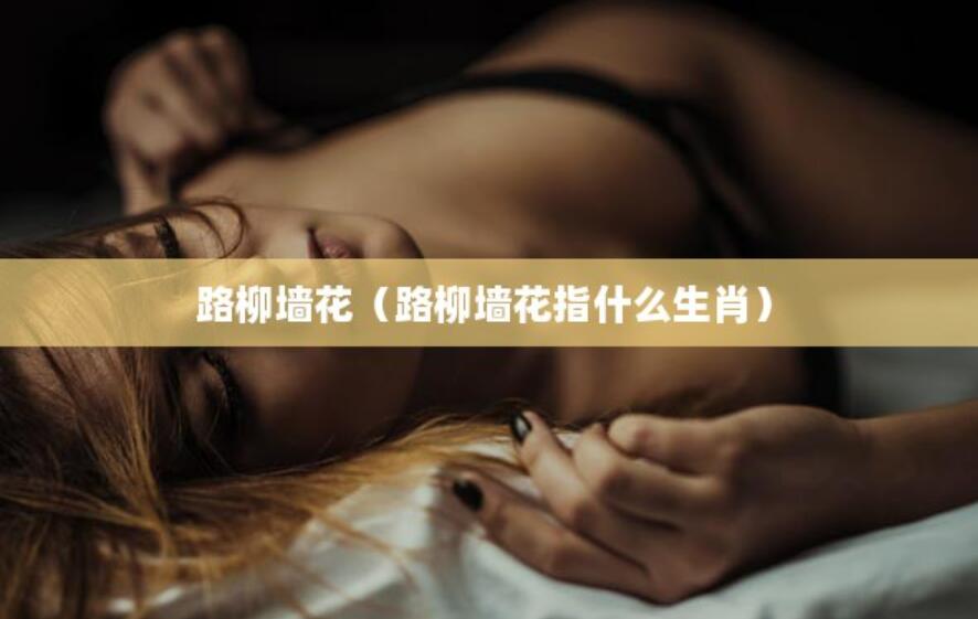 路柳墻花（路柳墻花指什么生肖）