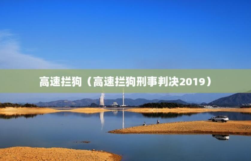 高速攔狗（高速攔狗刑事判決2019）