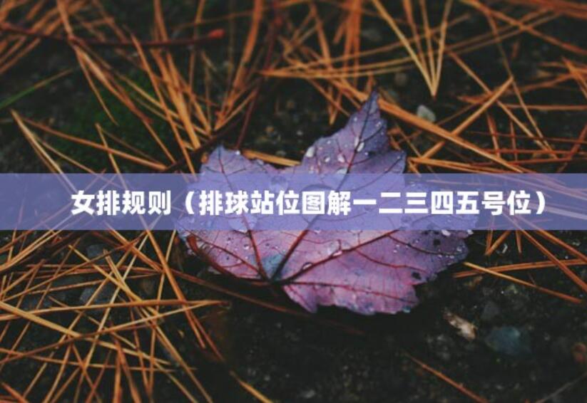 女排規則（排球站位圖解一二三四五號位）