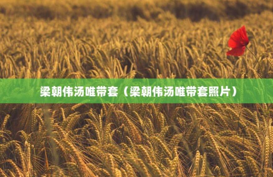 梁朝偉湯唯帶套（梁朝偉湯唯帶套照片）