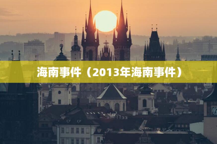 海南事件（2013年海南事件）